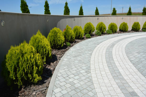 Best Decorative Driveway Pavers  in San Juan, TX